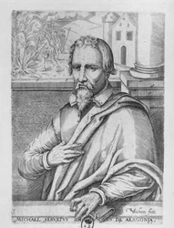 Michael Servetus (1511-53)